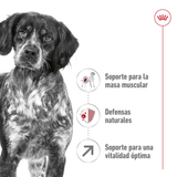 SHN MEDIUM ADULT 7+ - NUTRICION A LA MEDIDA.png